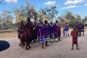 Safari di 3 giorni e 2 notti da Zanzibar a Mikumi in traghetto.