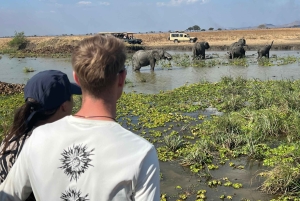 Safari di 3 giorni e 2 notti da Zanzibar a Mikumi in traghetto.