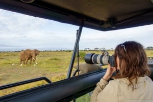3 Tage 2 Nächte Safari Mikumi Abenteuer