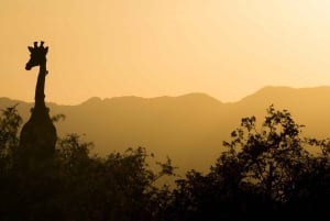 3 DNI 2 NOCE W PARKU NYERERE Z LOTNISKA ZANZIBAR