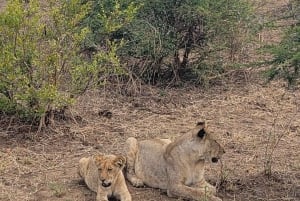 De Zanzíbar a Mikumi: safari en barco, SGR y aventura en la naturaleza