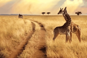 3-daagse Amboseli en Tsavo East Safari vanuit Nairobi