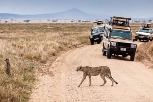 Arusha: 3-Day Serengeti & Ngorongoro Crater Big Five Safari