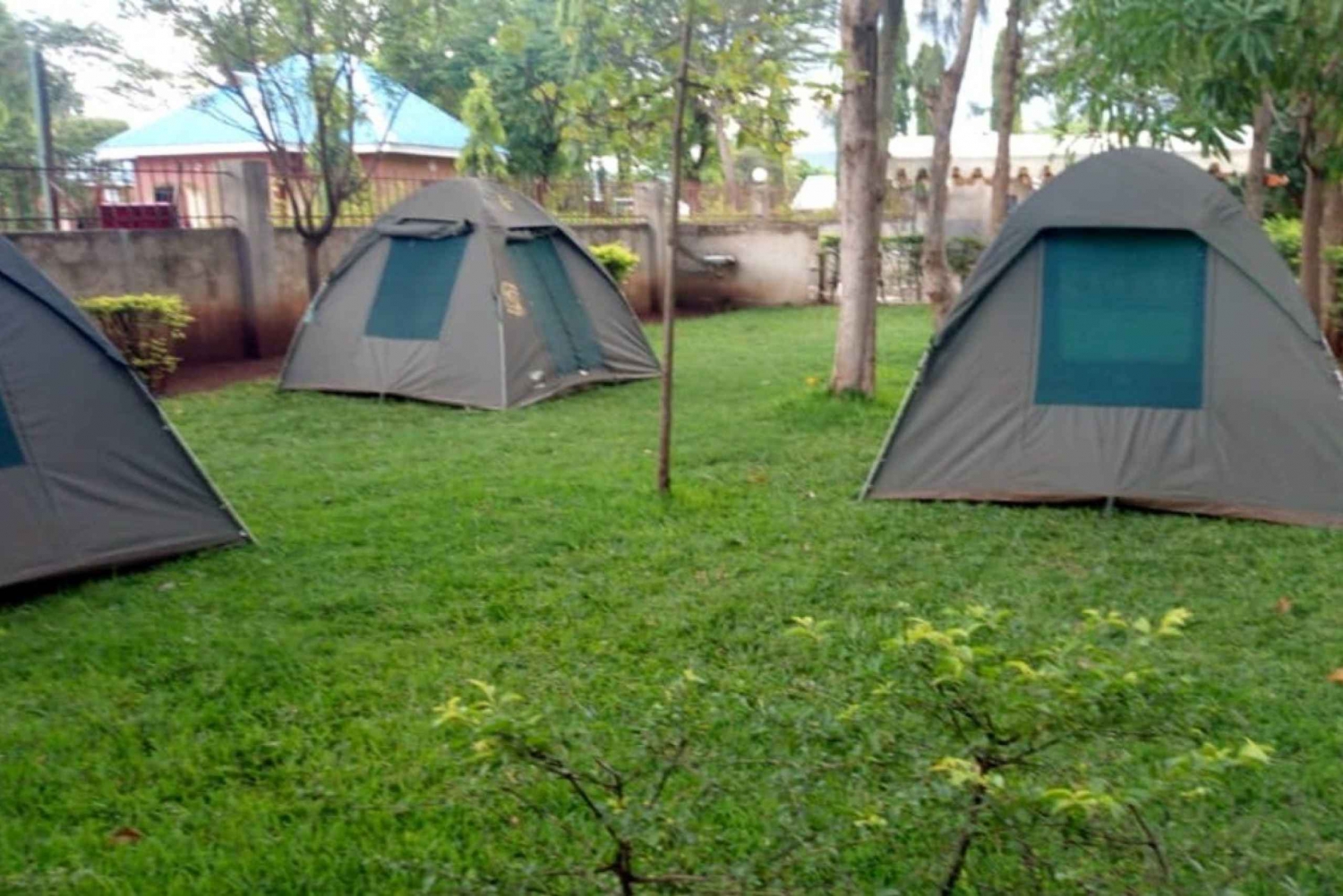 3 Tage Camping-Safaris