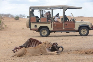 3 dages flypakke fra Zanzibar til Nyerere/Selous