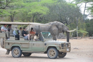 3 dages flypakke fra Zanzibar til Nyerere/Selous