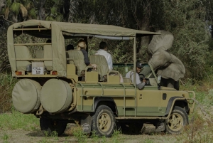 3 dages flypakke fra Zanzibar til Nyerere/Selous