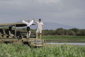 3 dages flypakke fra Zanzibar til Nyerere/Selous