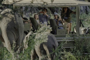 3 dages flypakke fra Zanzibar til Nyerere/Selous