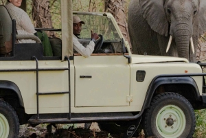 3 dages flypakke fra Zanzibar til Nyerere/Selous