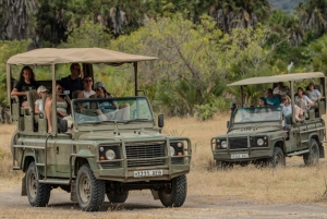 3 dages flypakke fra Zanzibar til Nyerere/Selous