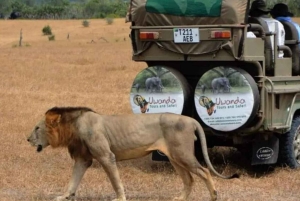 3 dages flypakke fra Zanzibar til Nyerere/Selous