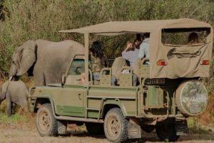 3 dages flypakke fra Zanzibar til Nyerere/Selous