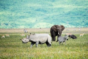 Circuit en groupe de 3 jours : Tarangire, lac Manyara, cratère du Ngorongoro