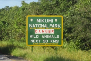 Safári de 3 dias com leões no Parque Nacional Mikumi