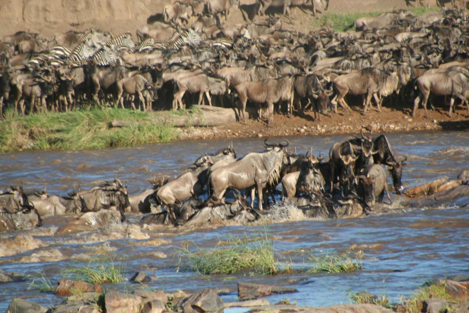 Excursión de 3 días para ver la migración en el Serengeti y Ngorongoro