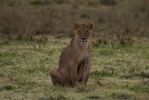 3日間 ミクミ国立公園 & ウズングワ山脈国立公園