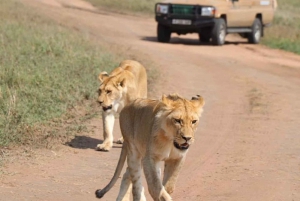 3 Days Mikumi National Park