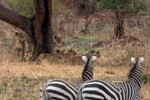 3 Days Mikumi National Park