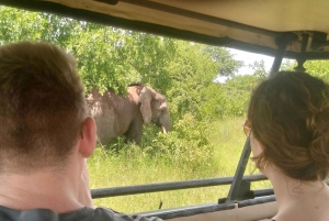 3 jours de safari Mikumi au départ de Zanzibar (jeep ouverte et van de luxe)