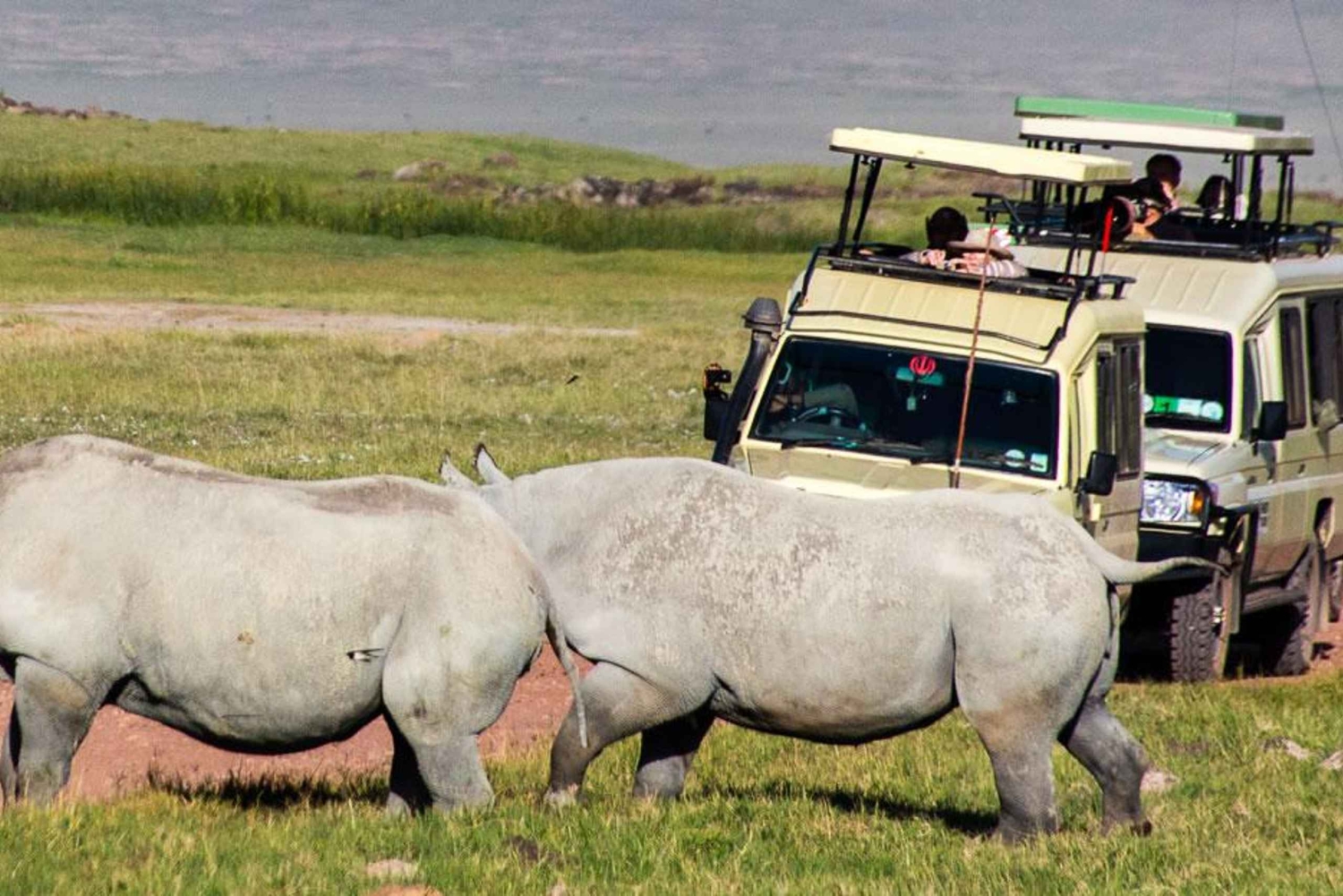 3 dages privat mellemklasse safari fra Zanzibar med fly