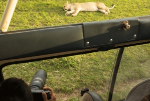 3 dages privat mellemklasse safari fra Zanzibar med fly