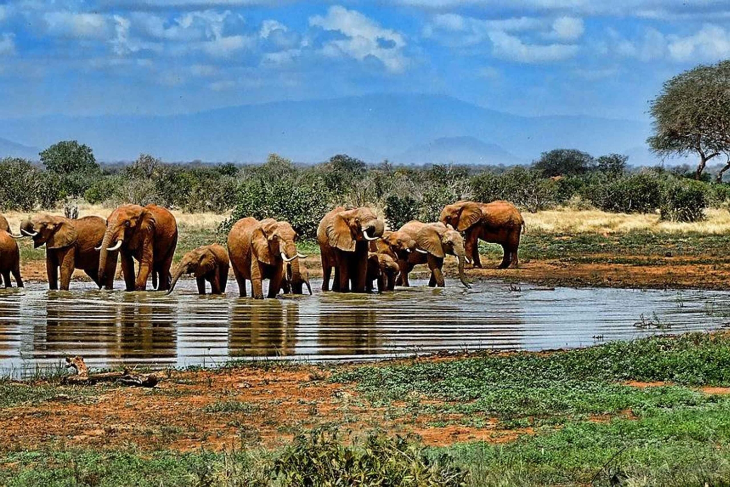 3-dniowe safari: Park Narodowy Nyerere z Dar es Salaam