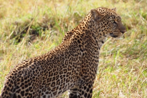 3 Days safari Tsavo East and Amboseli