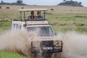 3 días en el Parque Nacional del Serengeti desde Zanzíbar con vuelos