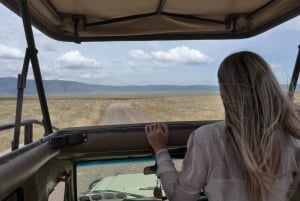 3 días en el Parque Nacional del Serengeti desde Zanzíbar con vuelos
