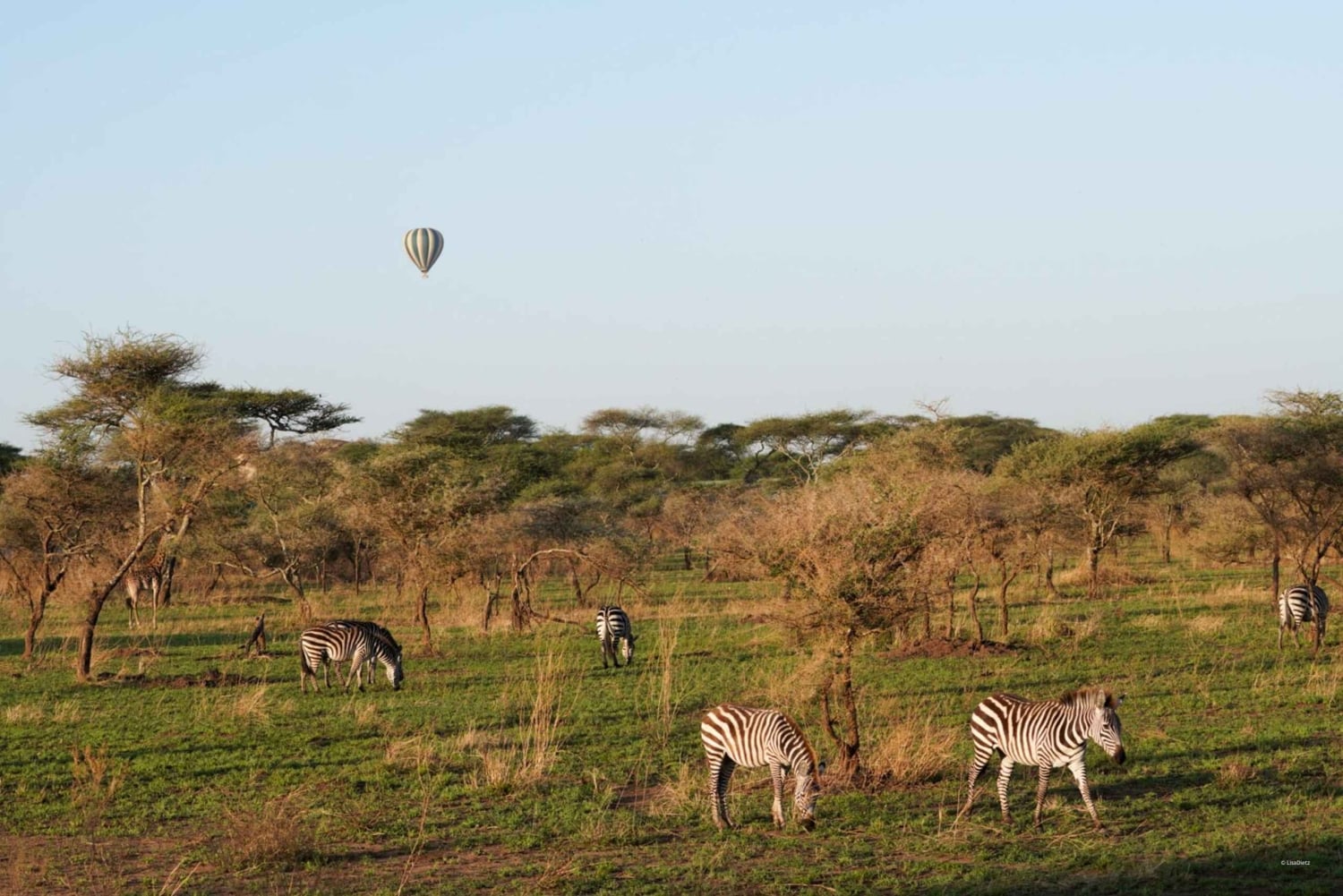 3 päivän Serengeti & Ngorongoro ryhmäleirintäsafari
