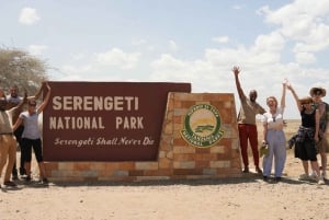 3 Days Serengeti & Ngorongoro Group Camping Safari