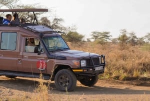 3 Days Serengeti & Ngorongoro Group Camping Safari