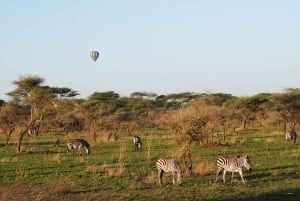 3 päivän Serengeti & Ngorongoro ryhmäleirintäsafari