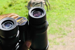 3 dager med gruppesafari i Serengeti og Ngorongoro