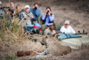 3 dager med gruppesafari i Serengeti og Ngorongoro