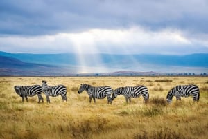 3-dniowe safari w Tanzanii dla średniozaawansowanych do Ngorongoro i Manyara