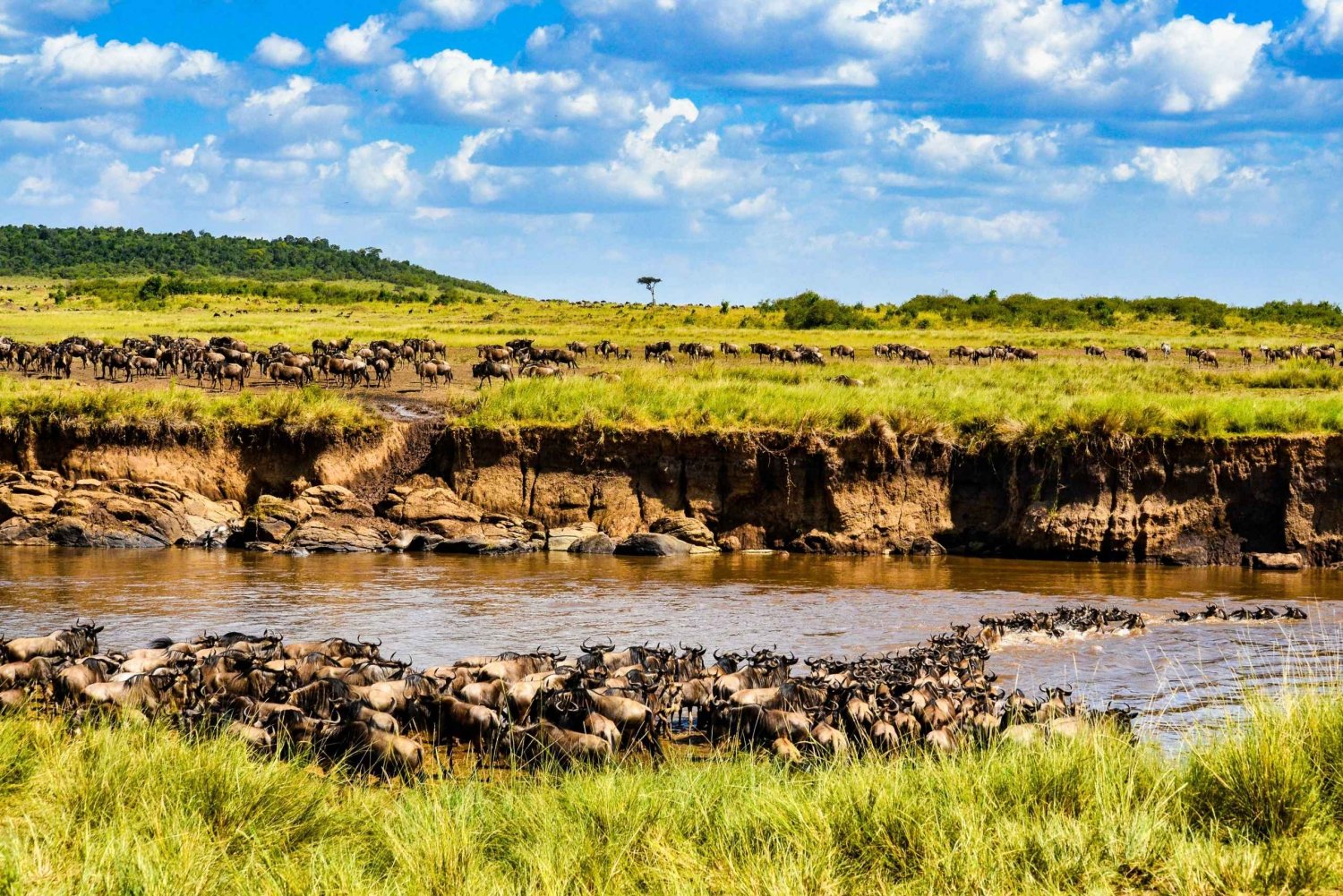 3 päivän Tansanian safari Tarangireen ja Ngorongoron kraatteriin