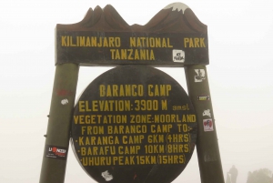 3 - Days Ultimate Serengeti Safari Luxury +++