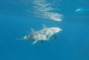 3 dagars semesterpaket till Zanzibar.