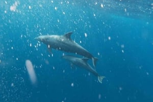 3 dagars semesterpaket till Zanzibar.