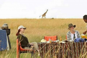 Safari di 3 giorni Serengeti e Cratere di Ngorongoro Midrange Lodge