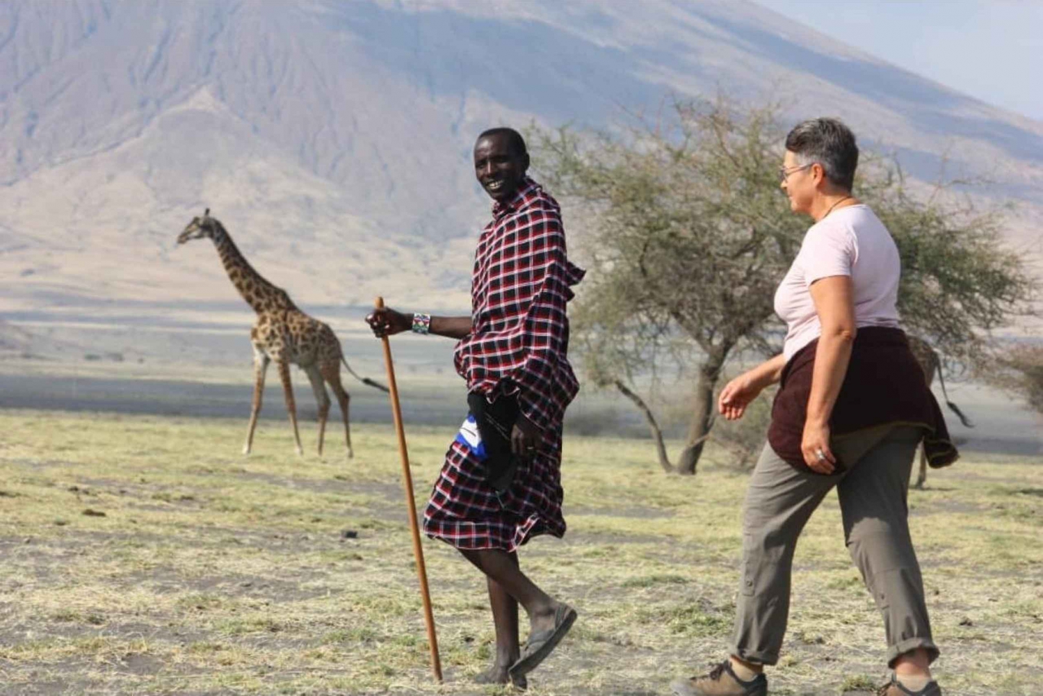 4-dagers komfort-safari til Tarangire, Ngorongoro og Materuni