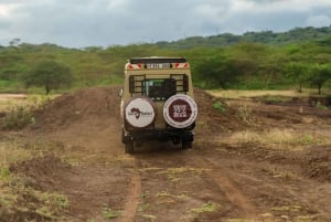 4-dniowe safari z przelotem do Zanzibaru i przelotem z Aruszy z buszu na plażę