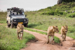 Safari de acampada de 4 días en jeep 4x4 por Maasai Mara y el lago Nakuru