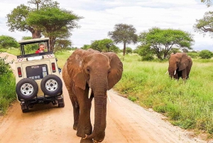 Safari en camping de 4 jours à Maasai Mara et au lac Nakuru en Jeep 4x4