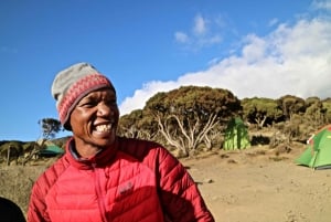 4-dages privat tur til Marangu for at bestige Kilimanjaro