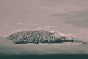 4-dages privat tur til Marangu for at bestige Kilimanjaro