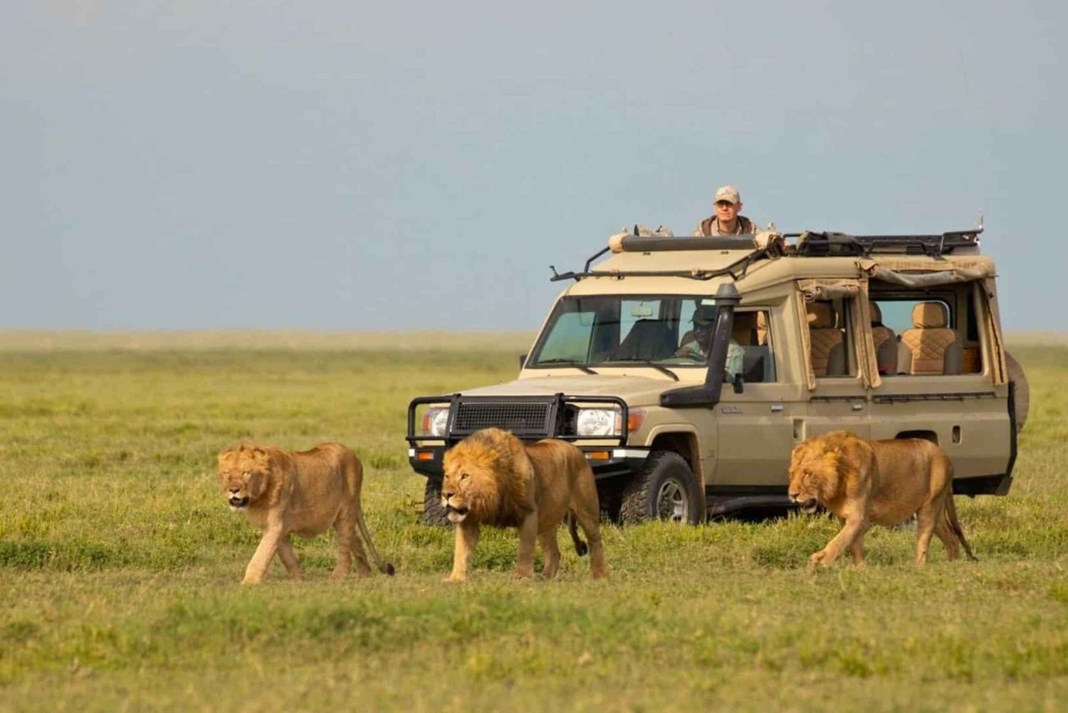 4-Day Private Safari from Dar es Salaam