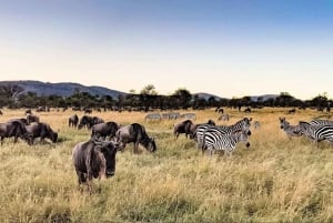 Safari de 4 jours : Arusha, Ngorongoro, Tarangire et Makuyuni